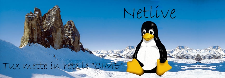 Netlive - informatica in rete